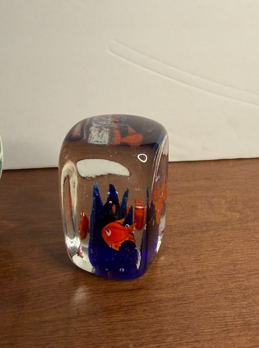Aquarium Art Glass Ocean Water Fishers Clear Colorful Fun Paperweight