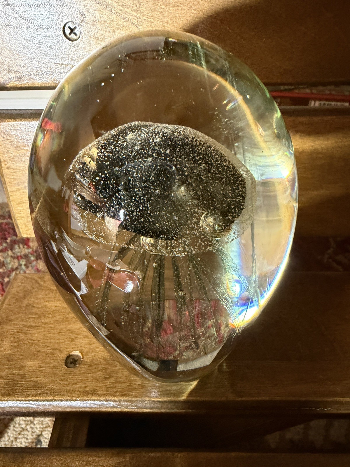 VINTAGE ART GLASS LARGE JELLYFISH & CONTROLLED BUBBLES PAPERWEIGHT. PO Black