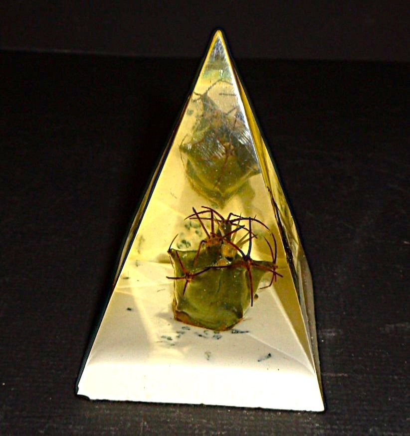 Collectable Vintage Resin Lucite Real Cacti Cactus Pyramid Paperweight 3.75″ h
