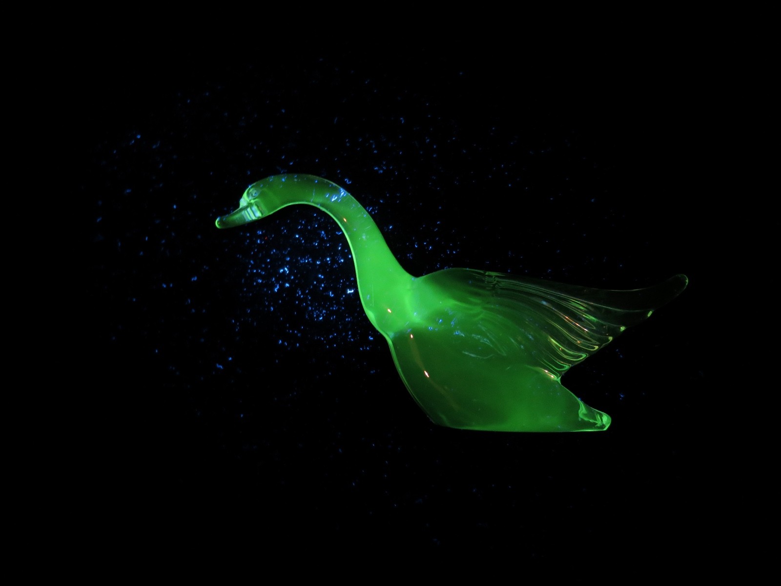 Vtg Heisey Clear Crystal Glass Swan That Glows Green Under A Blacklight