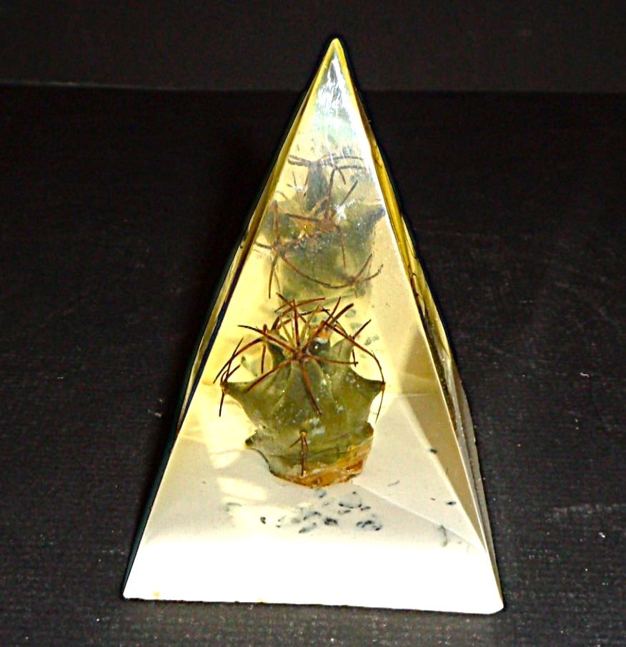 Collectable Vintage Resin Lucite Real Cacti Cactus Pyramid Paperweight 3.75″ h