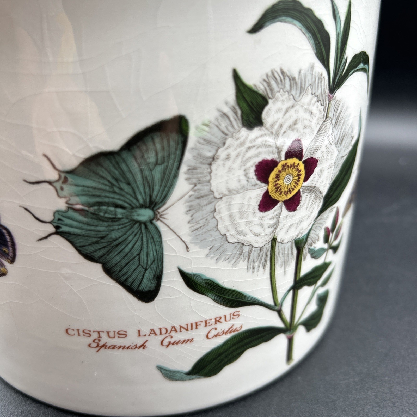 Vintage Port Meirion Botanic Garden Spanish Gum 5.5 Planter Flowers Butterflies