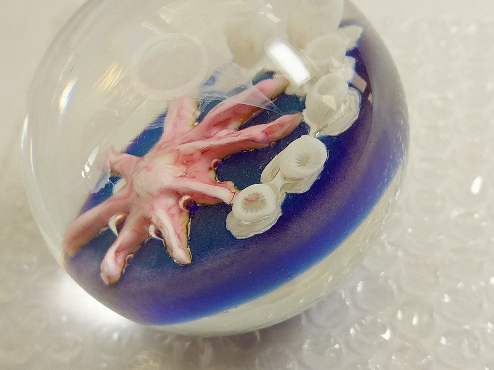 Daniel Salazar 1995 Lundberg Ghost Prawn Ocean Reef Paperweight Sphere Marble #d