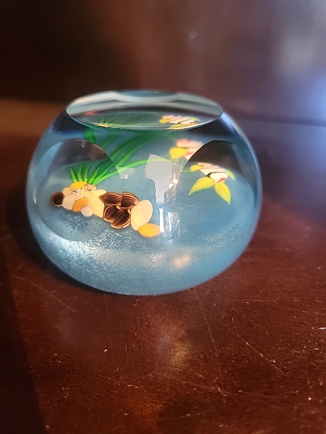 Perthshire Scottish Paperweight, 2.5″ x 1.75″ Millefiori Fish