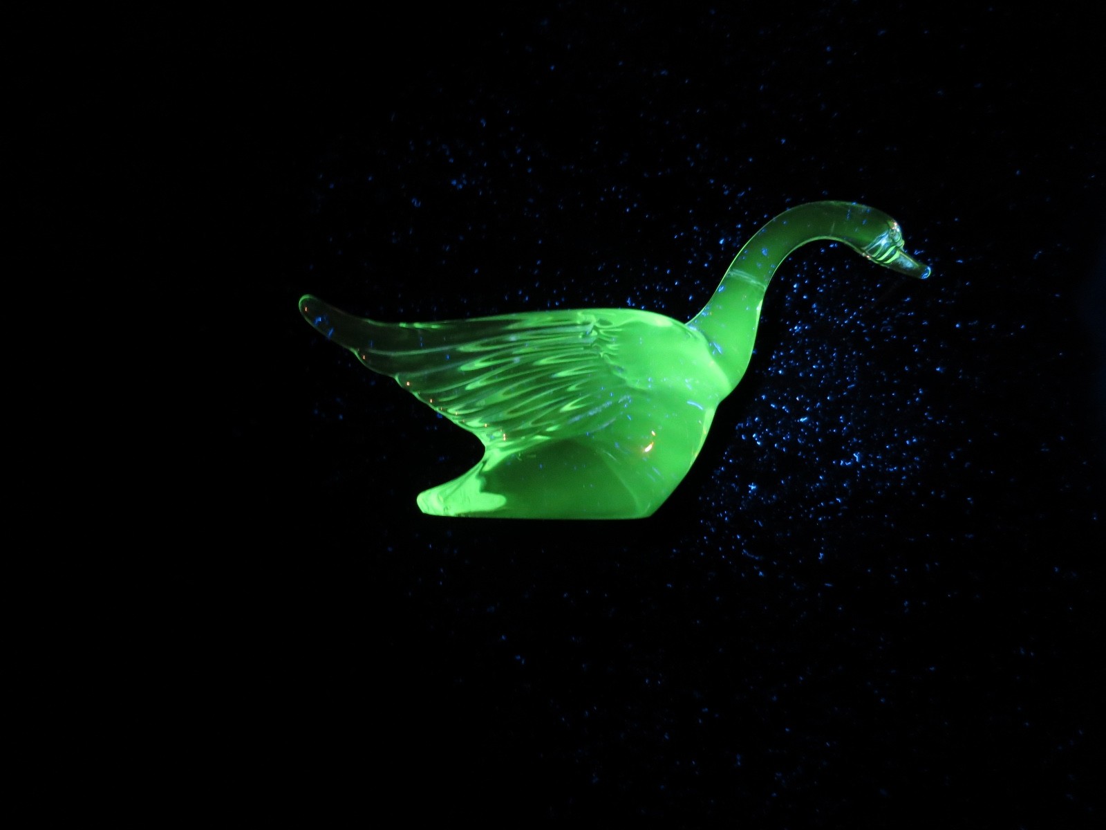 Vtg Heisey Clear Crystal Glass Swan That Glows Green Under A Blacklight