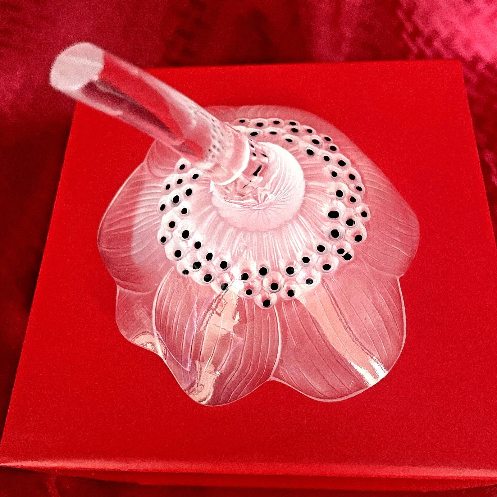 ANTIQUE LALIQUE FROSTED ANEMONE WIITH CLEAR STEM – NIB