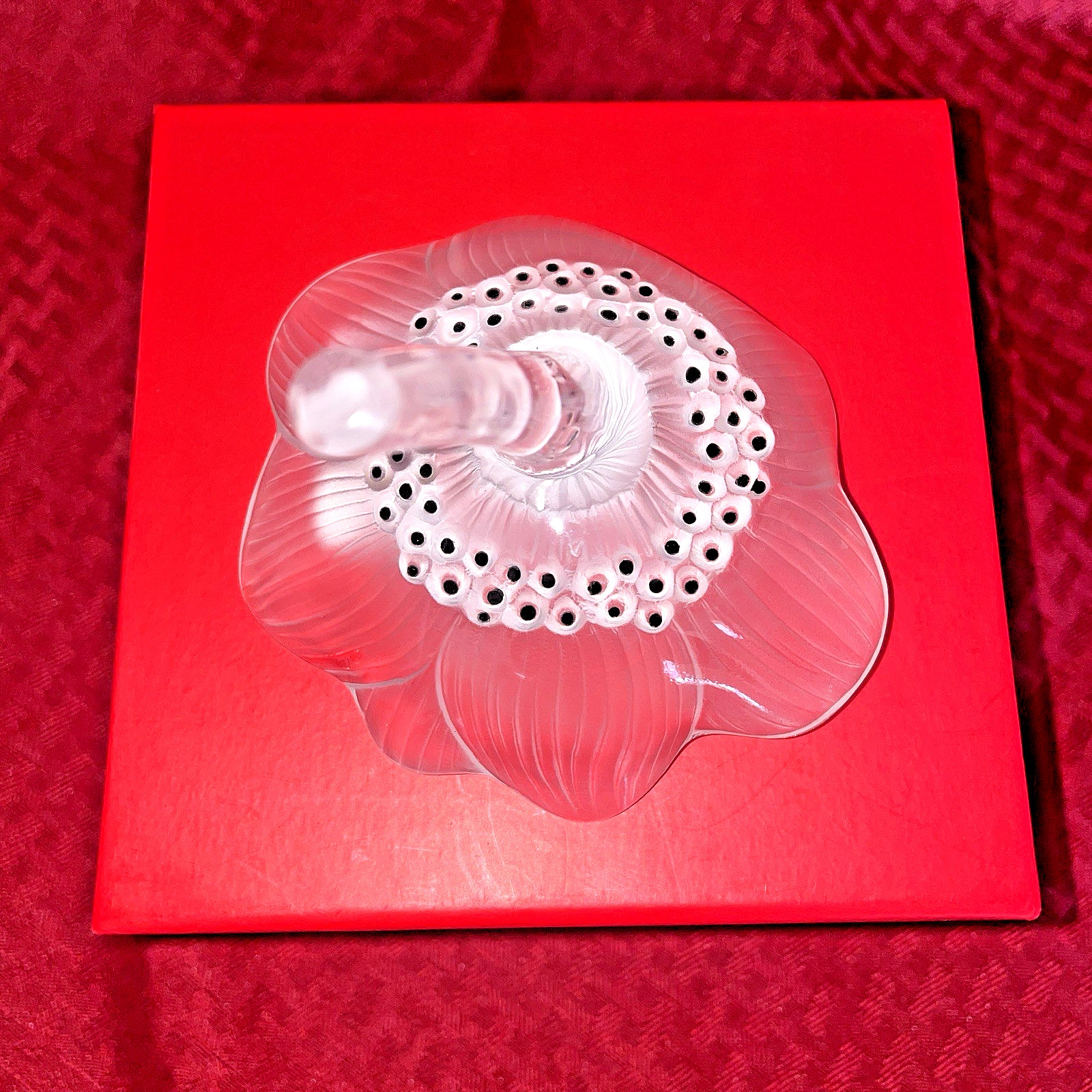 ANTIQUE LALIQUE FROSTED ANEMONE WIITH CLEAR STEM – NIB