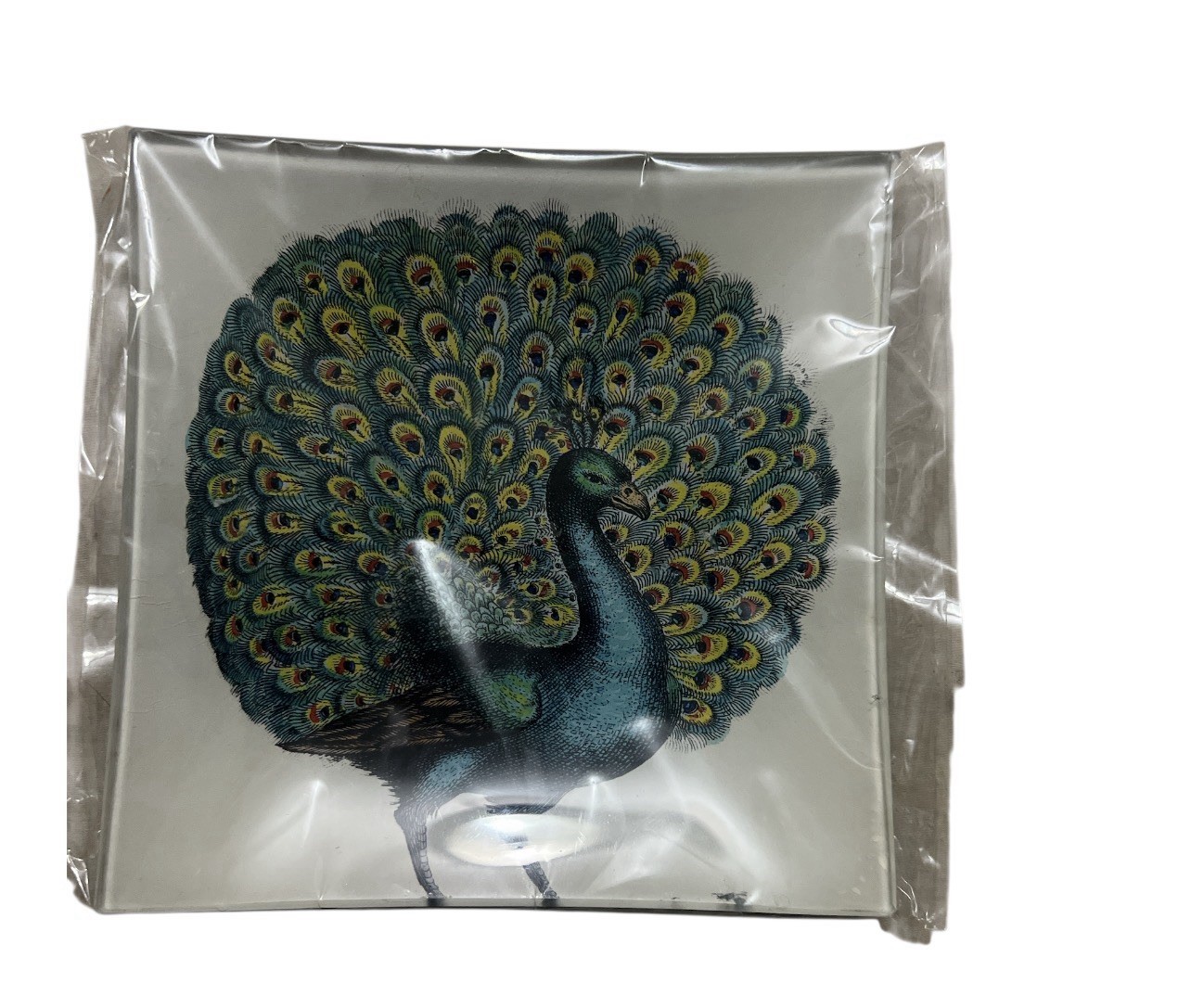 Ben’s Garden Glass Tray Proud Peacock Handcrafted New York Studio