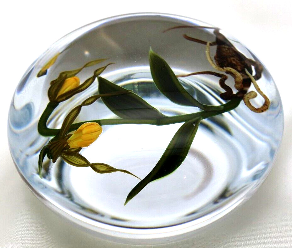 DAZZLING Large CHRIS BUZZINI Lady Slipper ORCHIDS Art Glass PAPERWEIGHT 1 of 1