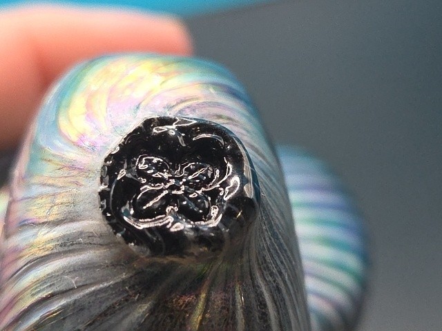 Glass Eye Studio Blown Glass Nautilus Shell Paperweight Blue Iridescent 4X3