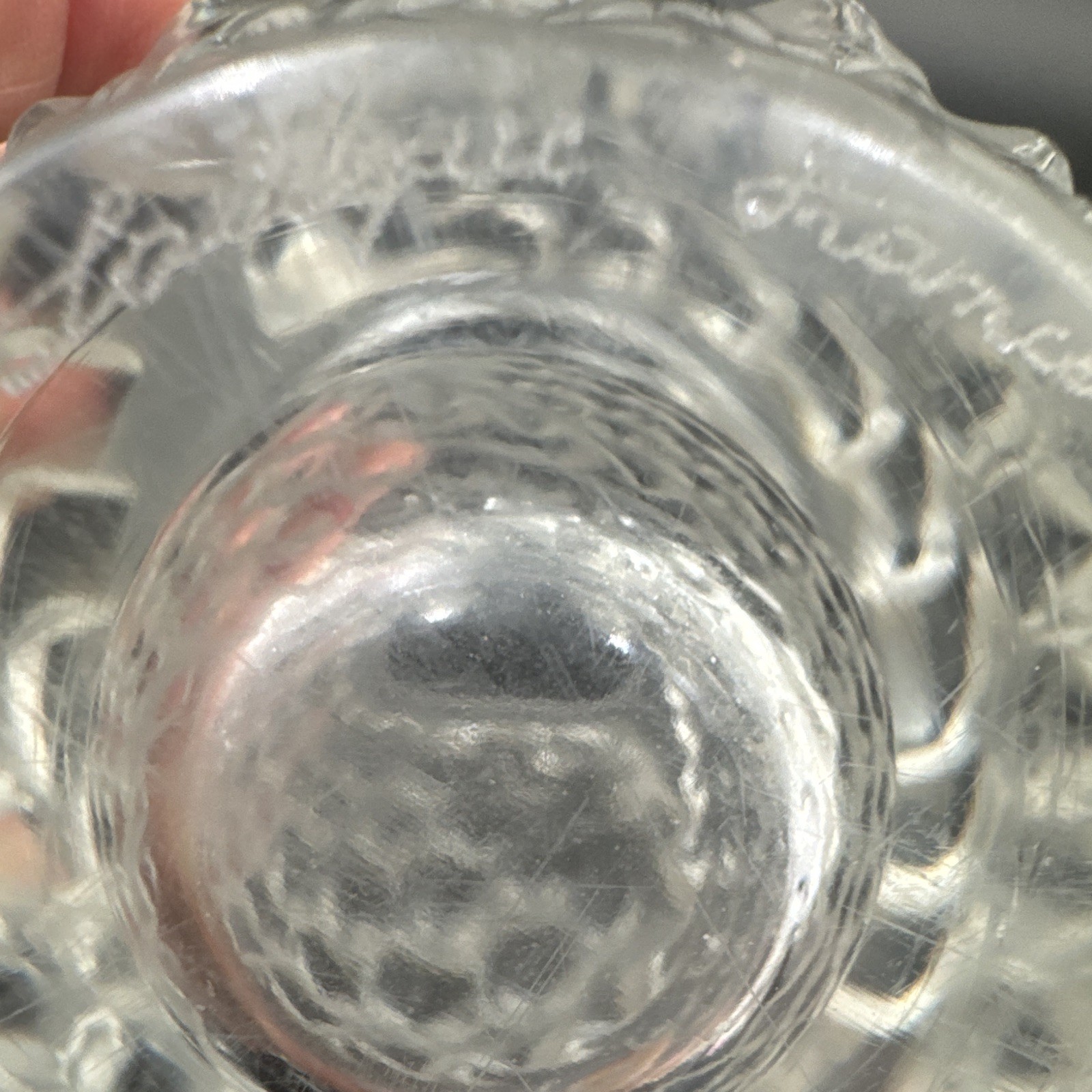 Clear Glass Vase Fish Theme Relief Pattern with Raised Decorative Frosted Detail