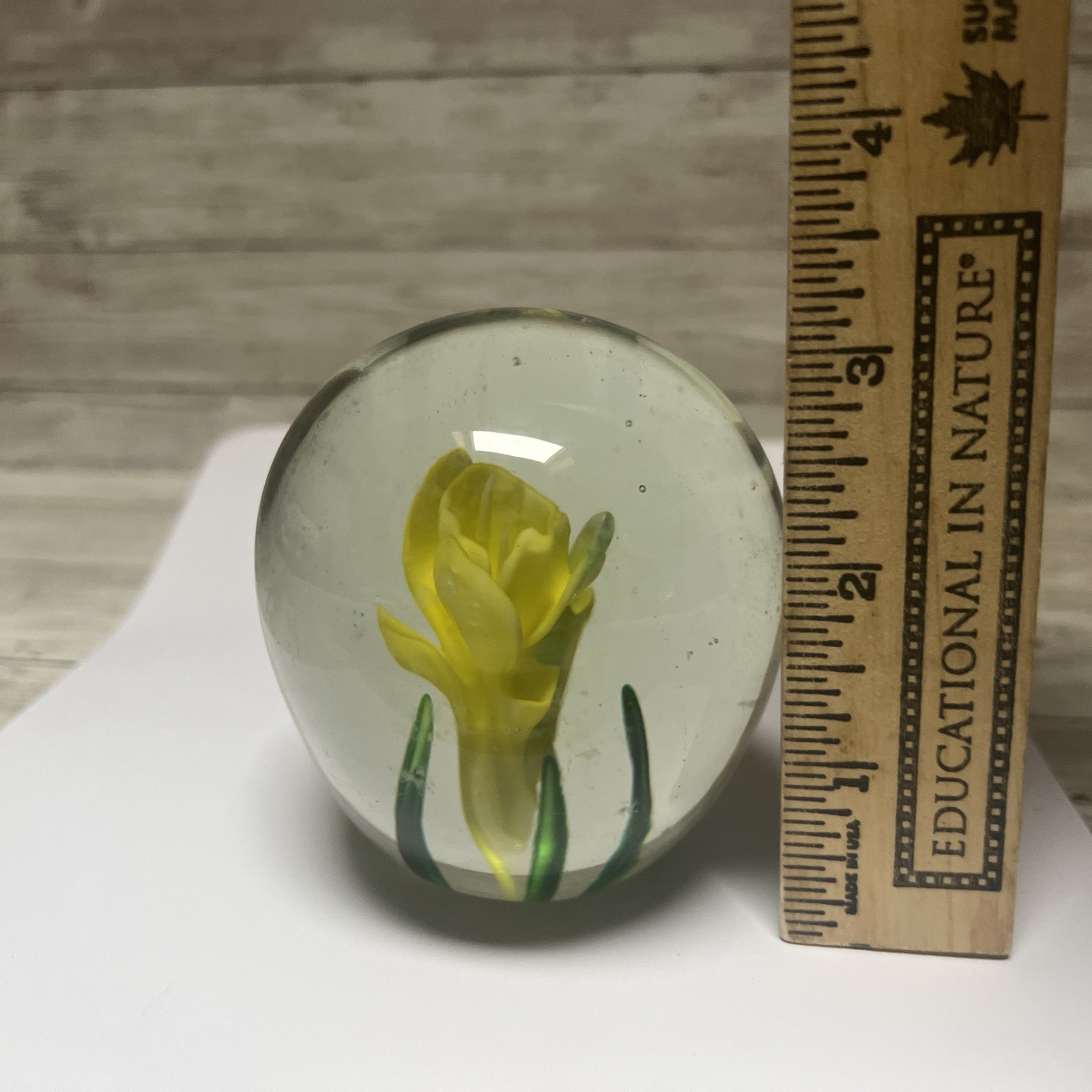 Vintage Art Glass Yellow Daffodil Flower Floral Paperweight