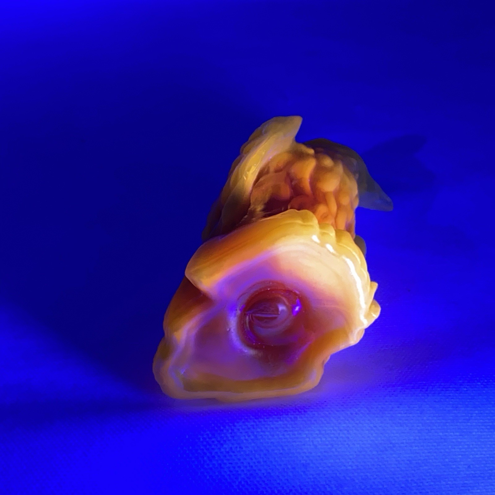 Boyd Glass “Bernie The Eagle” Sunkiste Carnival #143 GLOWS Under Black Light ‘95