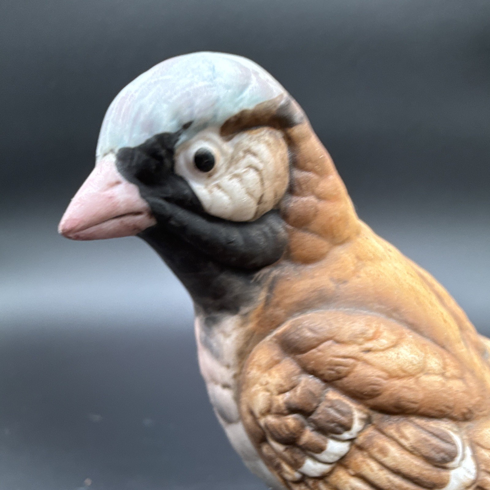 Porcelain figurine titled ‘House Sparrow’ by Angeline Original