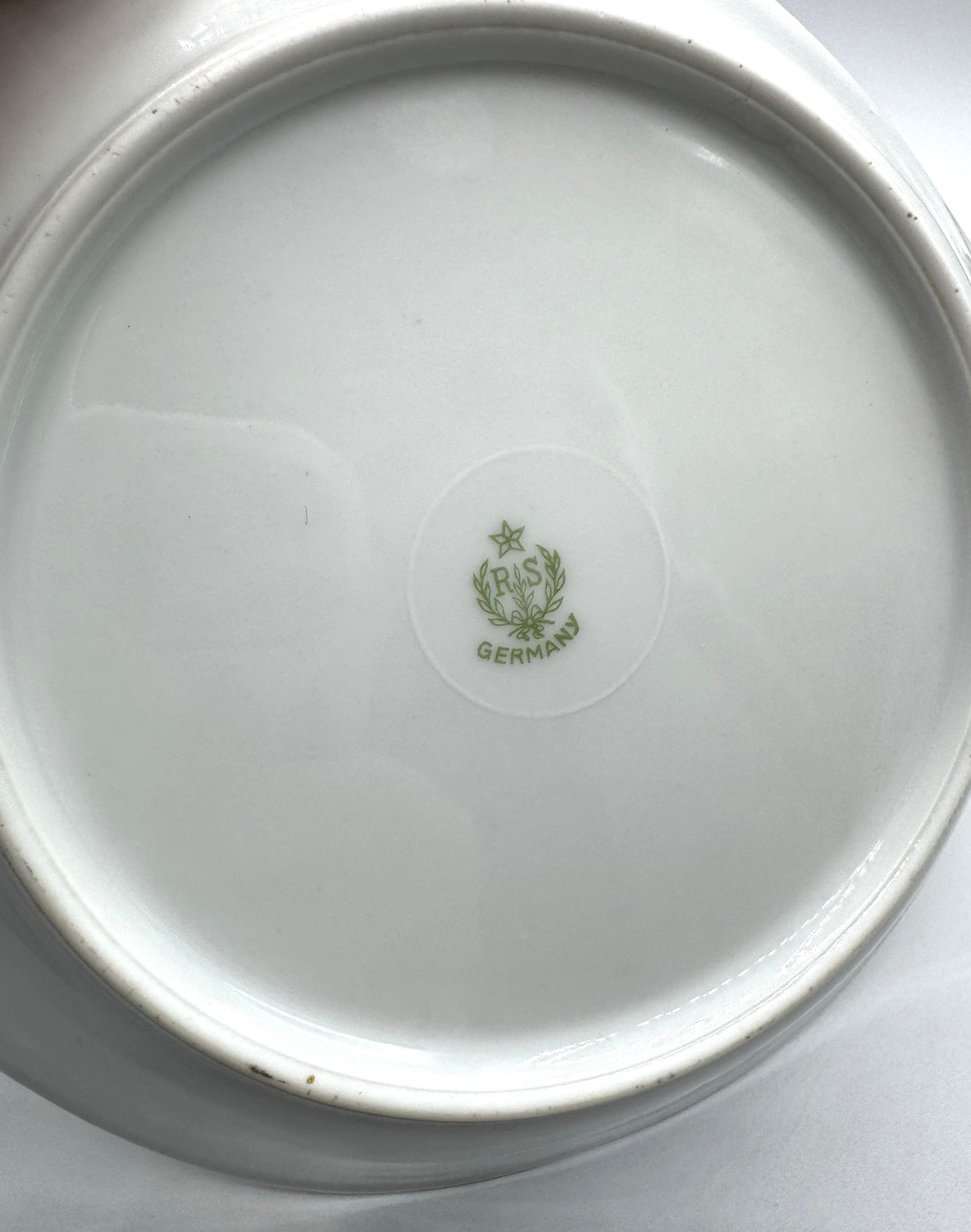 Antique RS Germany Reinhold Schlegelmilch Hand Painted Floral Gilt Plate Tray