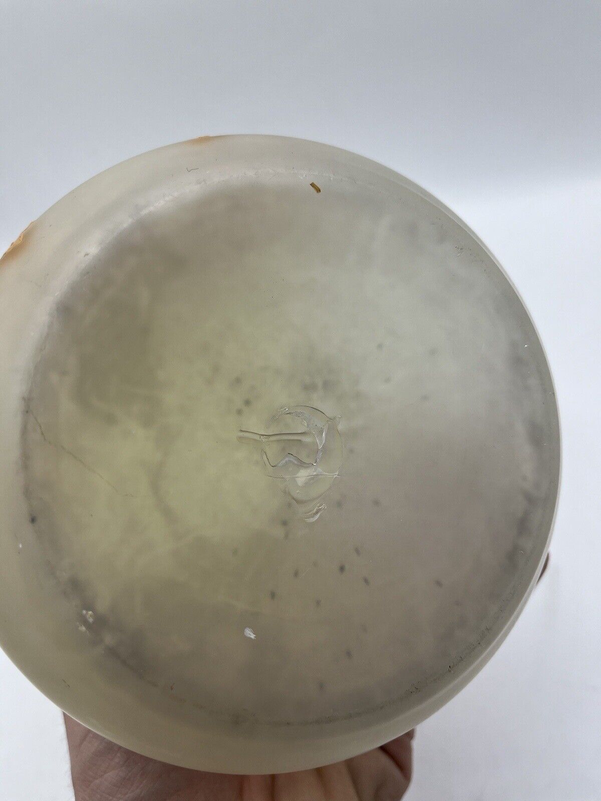 Antique Bohemian or French Glass Portrait Vase Enamel Victorian Flowers
