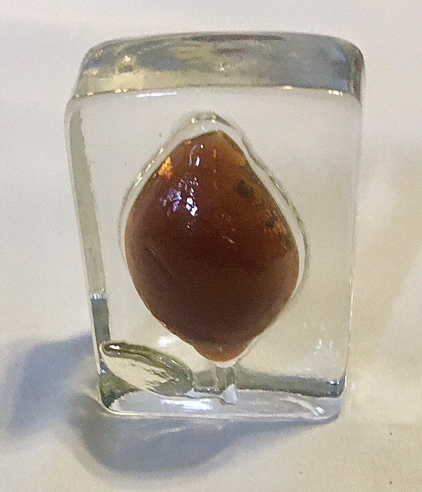 VTG Clear W/Amber Flower In Relief Glass Paperweight – 3.25” X 2.25” X 2” Thick