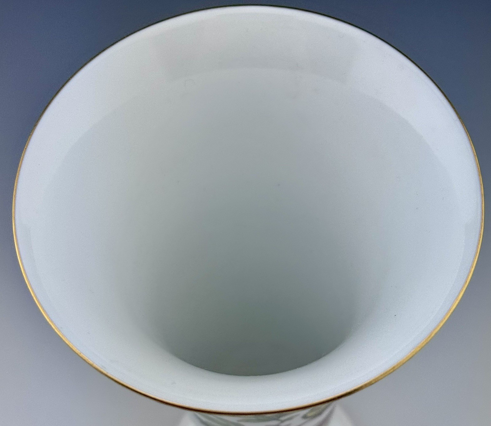 🦋 MINT HEREND Rothschild Bird Blue Border 9” Vase Motif #2