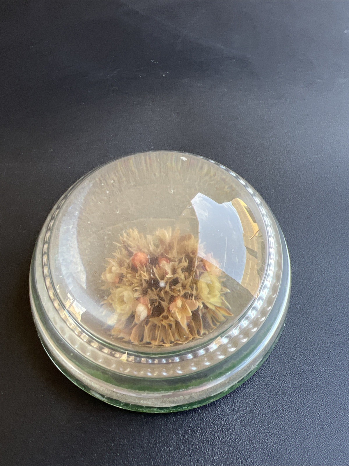 vtg 3″ Dome Crystal Paperweight Natural Real Leaf Flower Plant Dried Timecapsule