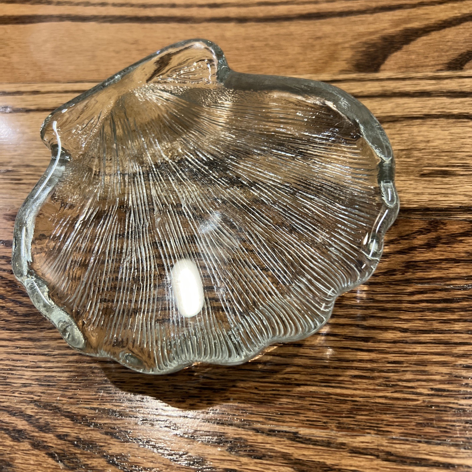 Solid Glass Scallop Sea Shell Paperweight 5”x5” x1” weighs 1 lb 9 oz No Damage