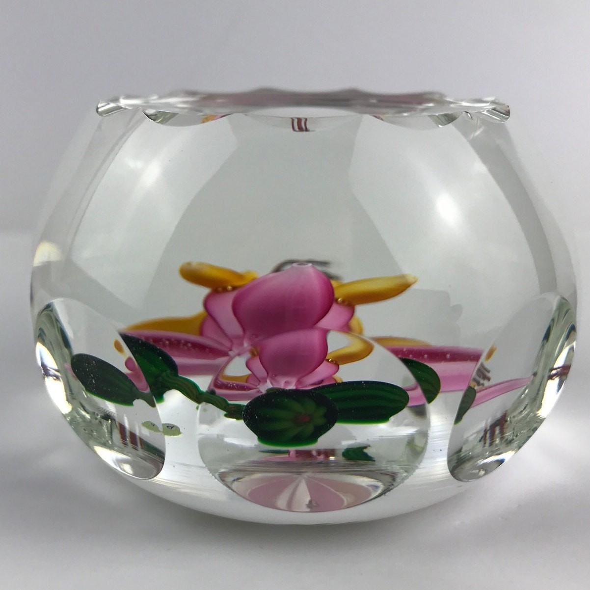 Perthshire 1987C Theobroma Cacao Flower Scallop Faceted Lampwork Paperweight COA