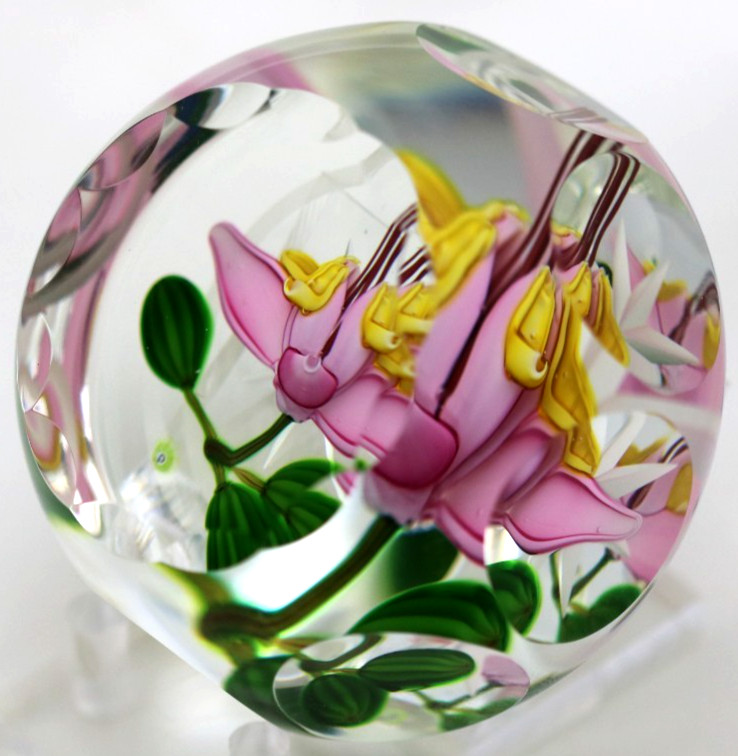 Faceted PERTHSHIRE Blooming THEOBROMA Chocolate Flower Art Glass PAPERWEIGHT
