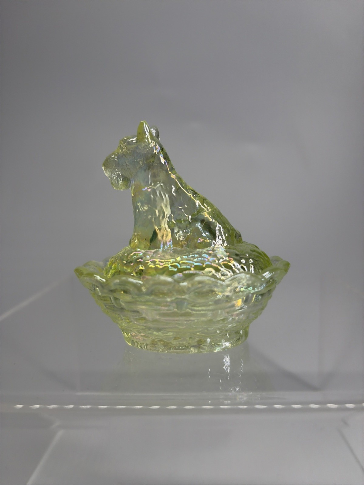 Boyd Scottie Dog on Nest Salt 2.5″ Vaseline Iridescent Uranium Glass UV Glow HTF