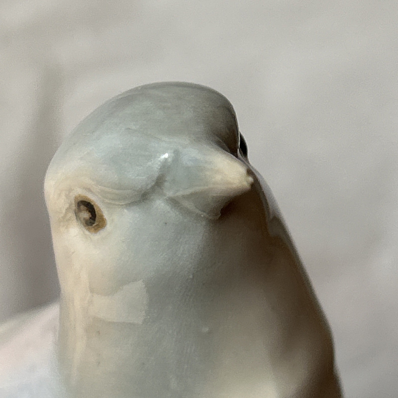 Casades Porcelain Bird Figurine Floral Base Glossy Decorative Spain