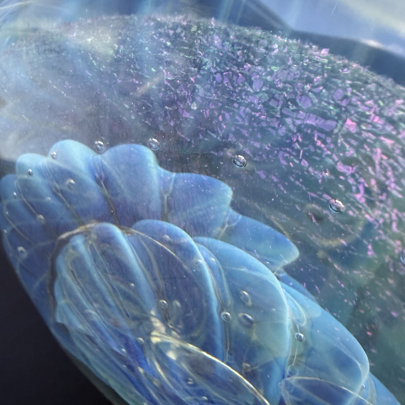 Eickholt Signed Seascape Opalescent Blue Stand-up Disc 6”x5.5 Paperweight Flower