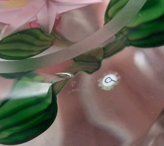 Perthshire Faceted Blooming Theobroma Flower Art Glass Paperweight AS IS