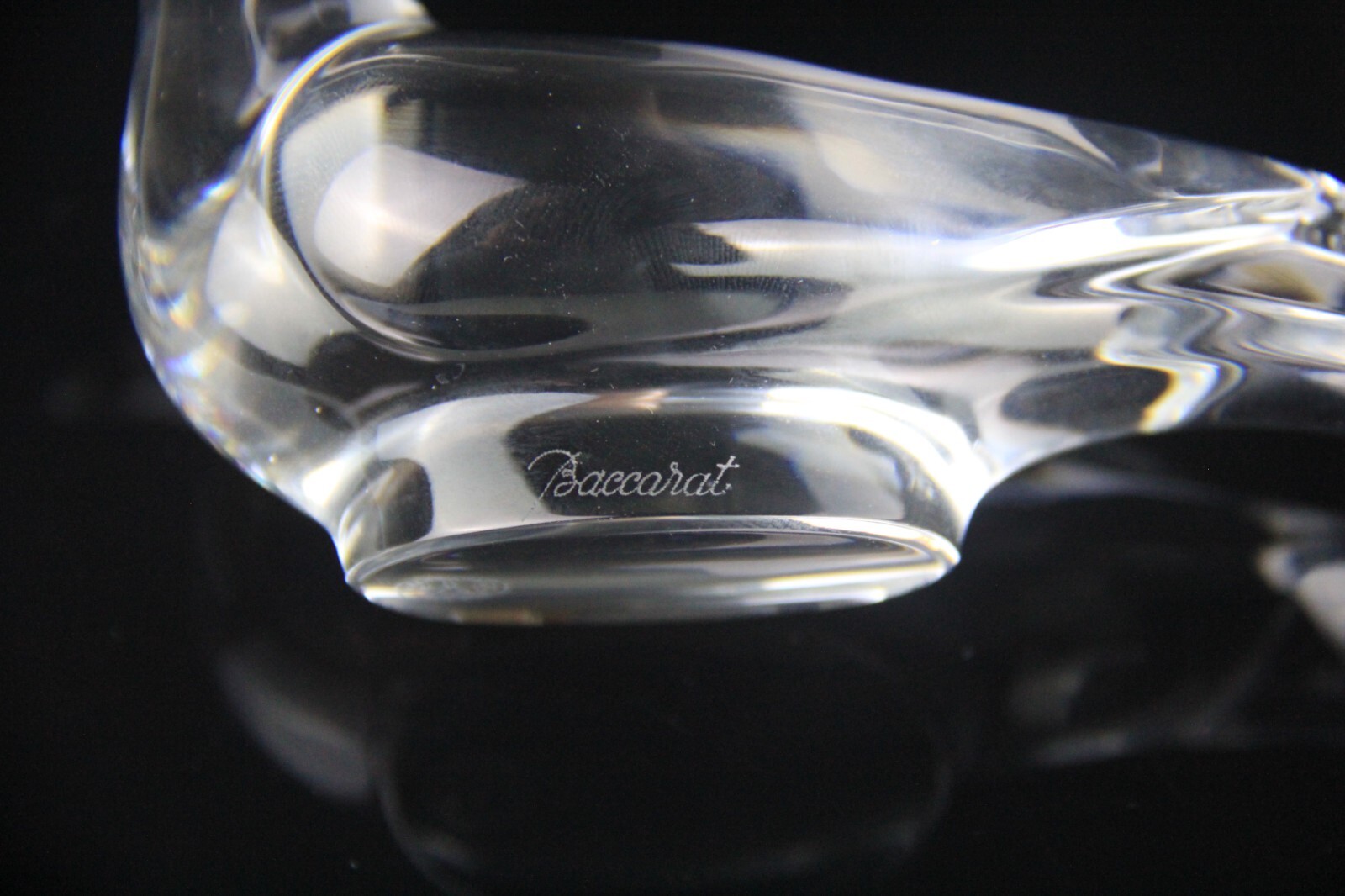 BACCARAT Figurine France Clear Crystal Turtle Dove Bird Paperweight Signed