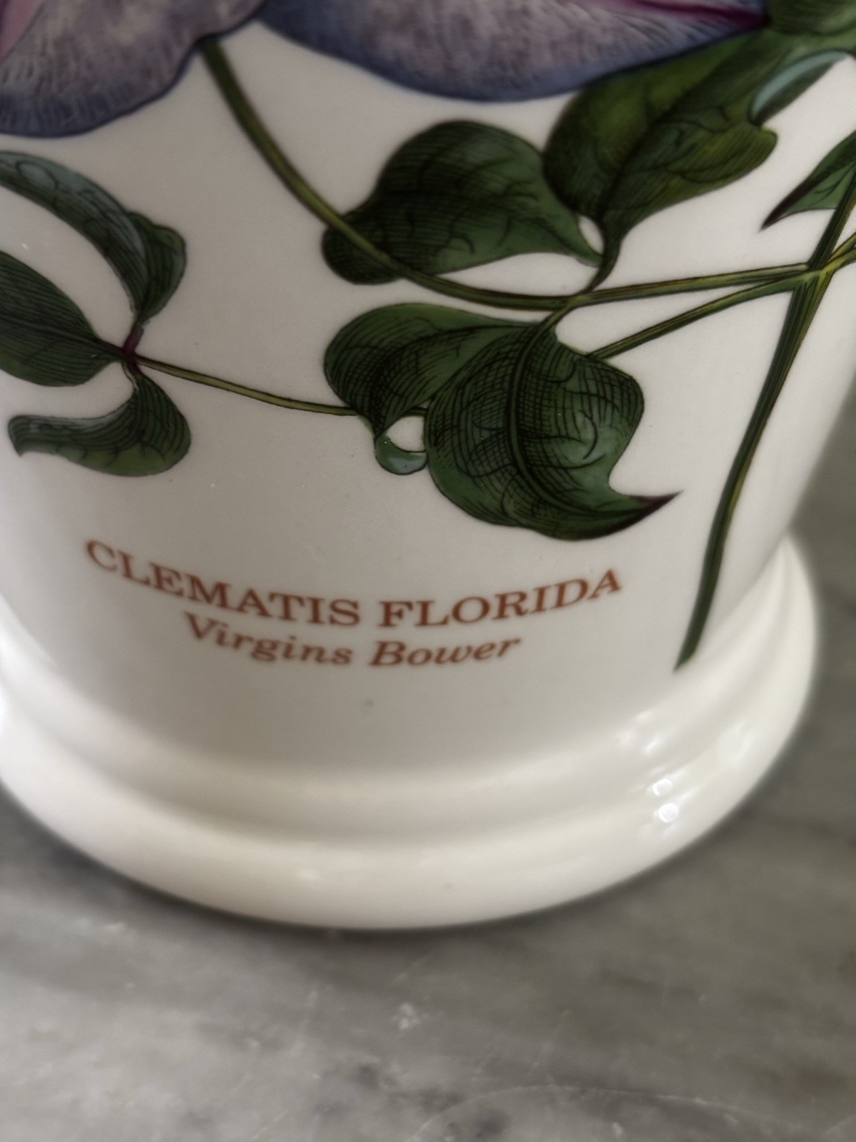 Portmeirion Botanic Garden 8 3/8″ Clematis Florida Flower Vase