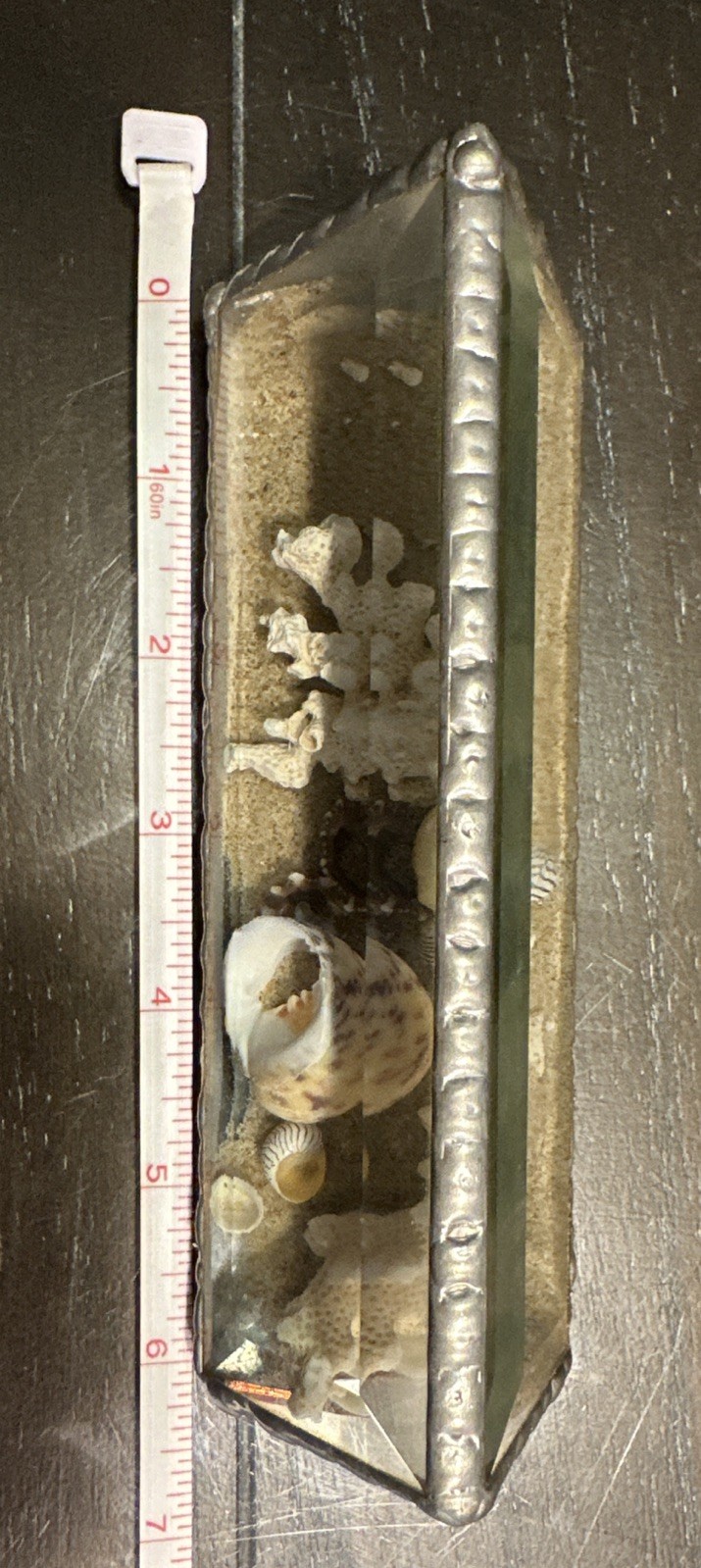Coral Seashell Beach Beveled glass tabletop Sand scape Paper Weight