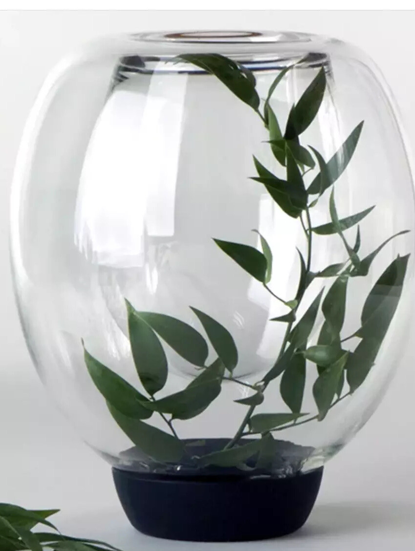 Vunder Double Walled Vases in Medium Size. Perfect for Mother’s Day!