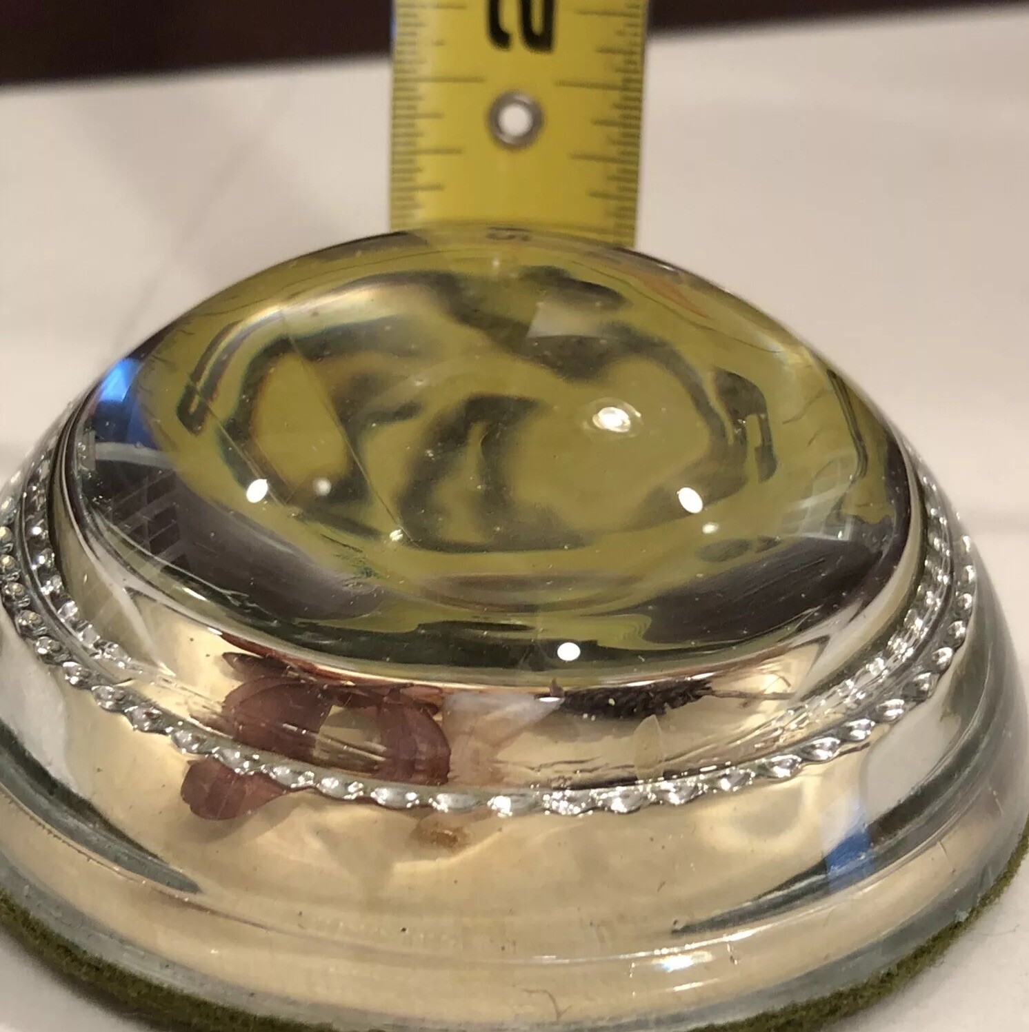 Paperweight Alaska Wild Flowers Round Dome Collectible Vintage Glass
