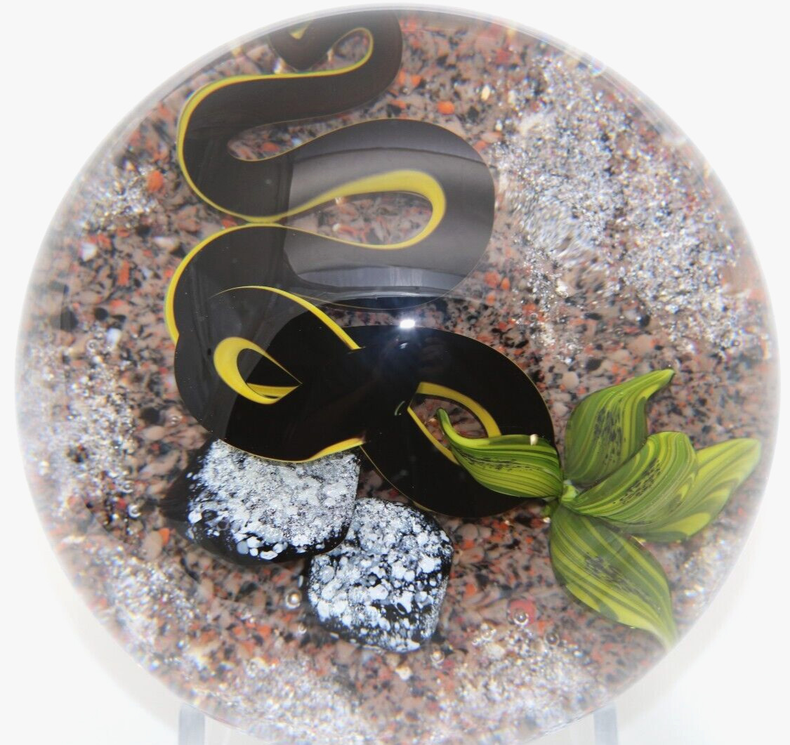 ALLURING Magnum VICTOR TRABUCCO Yellow Bellied Black SNAKE Art Glass PAPERWEIGHT