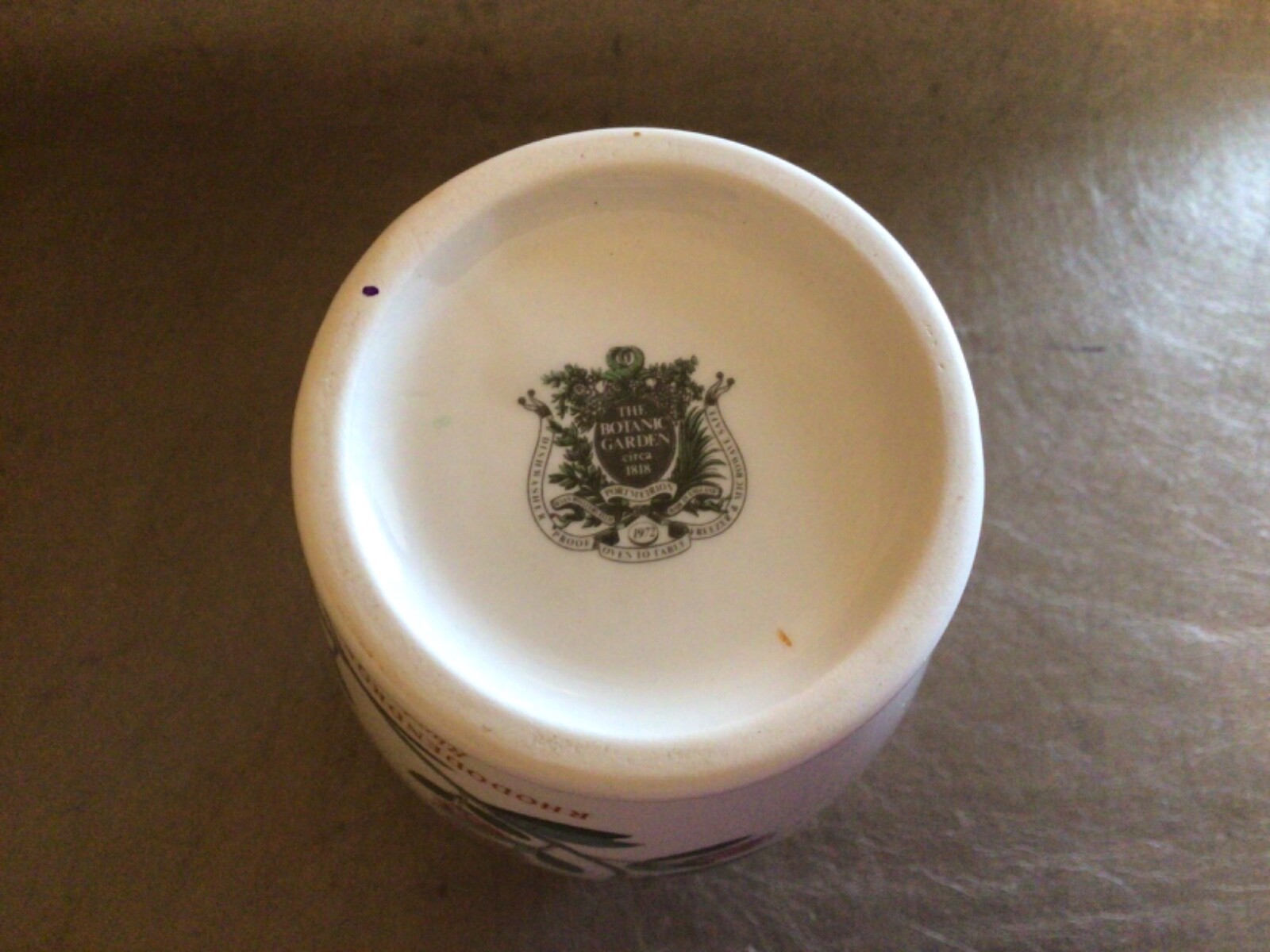 Portmeirion Botanic Garden Rhododendron Lepidotum Vase 6.5”