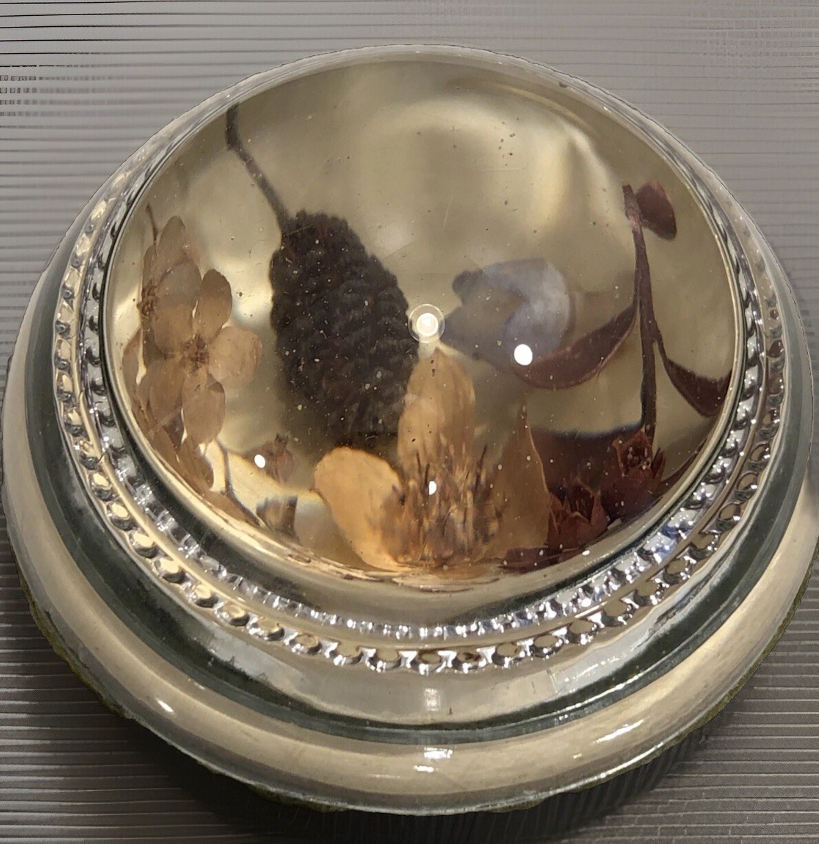 Paperweight Alaska Wild Flowers Round Dome Collectible Vintage Glass