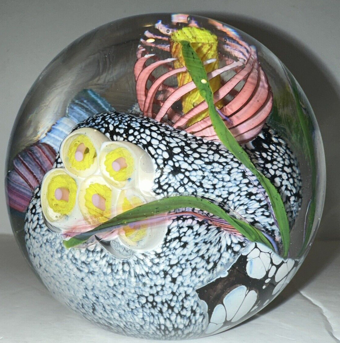 Artisan 1991 M E Mark Eckstrand 3.5″ Art Glass Sea Life Paperweight 1 lb 14 oz
