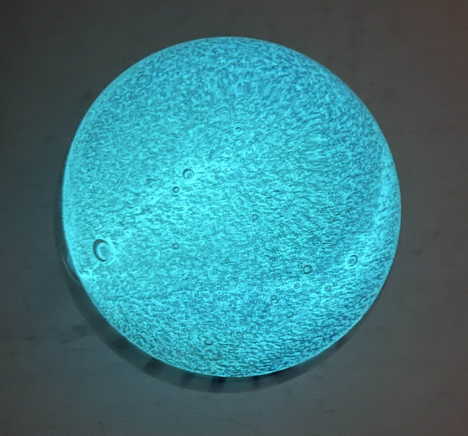 Blue & Green Glow in the Dark Jelly Fish Paperweight 4.75” tall EUC!