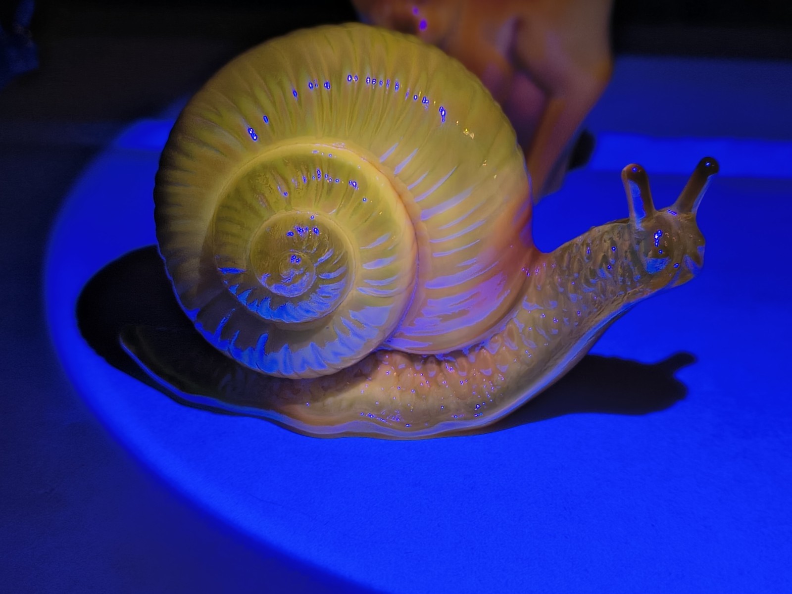 Fenton By Mosser Dandelion Carnival Snail – Made For Private Seller GLOWS