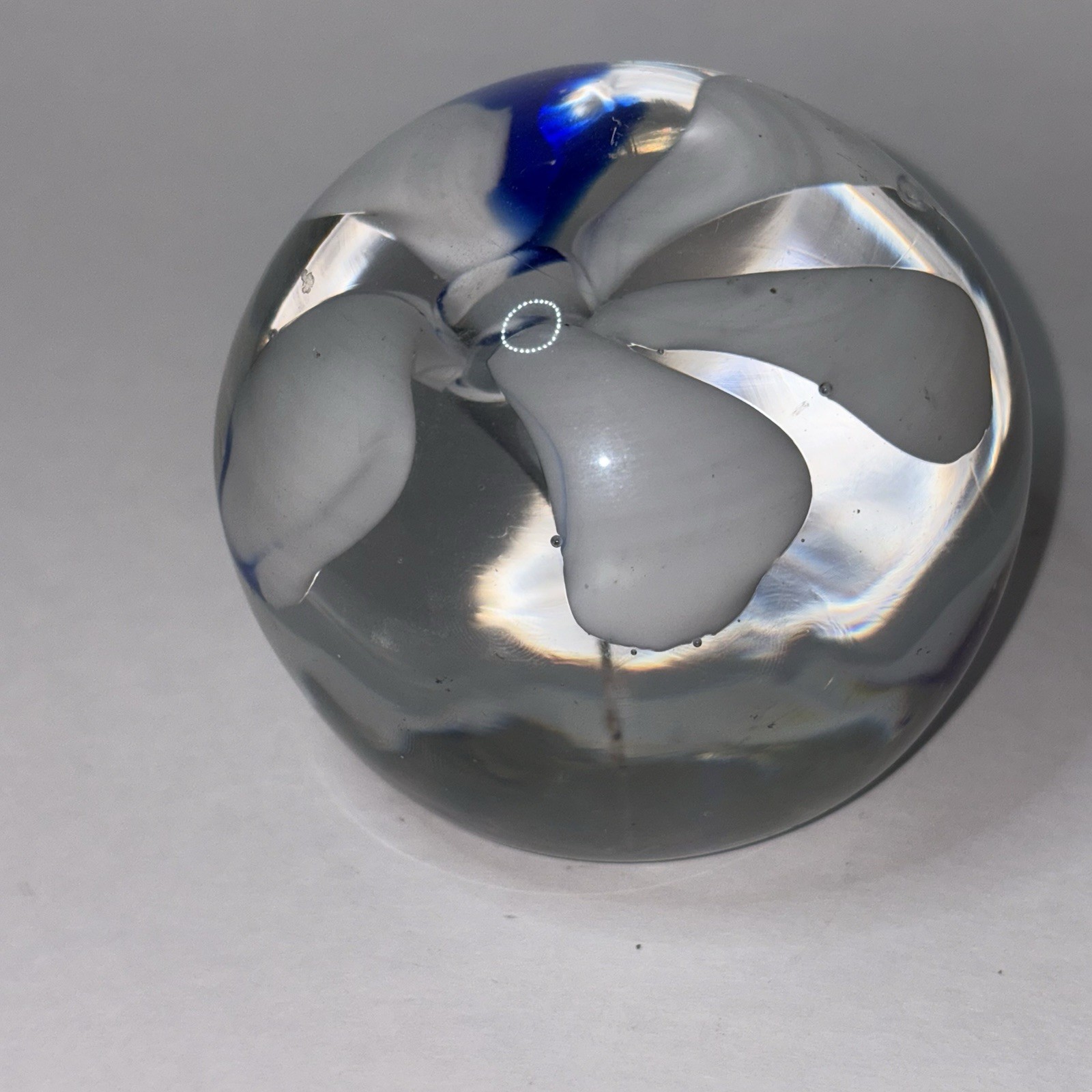 Glass Paperweight White and Blue Flower Clear Bottom 3”x3”
