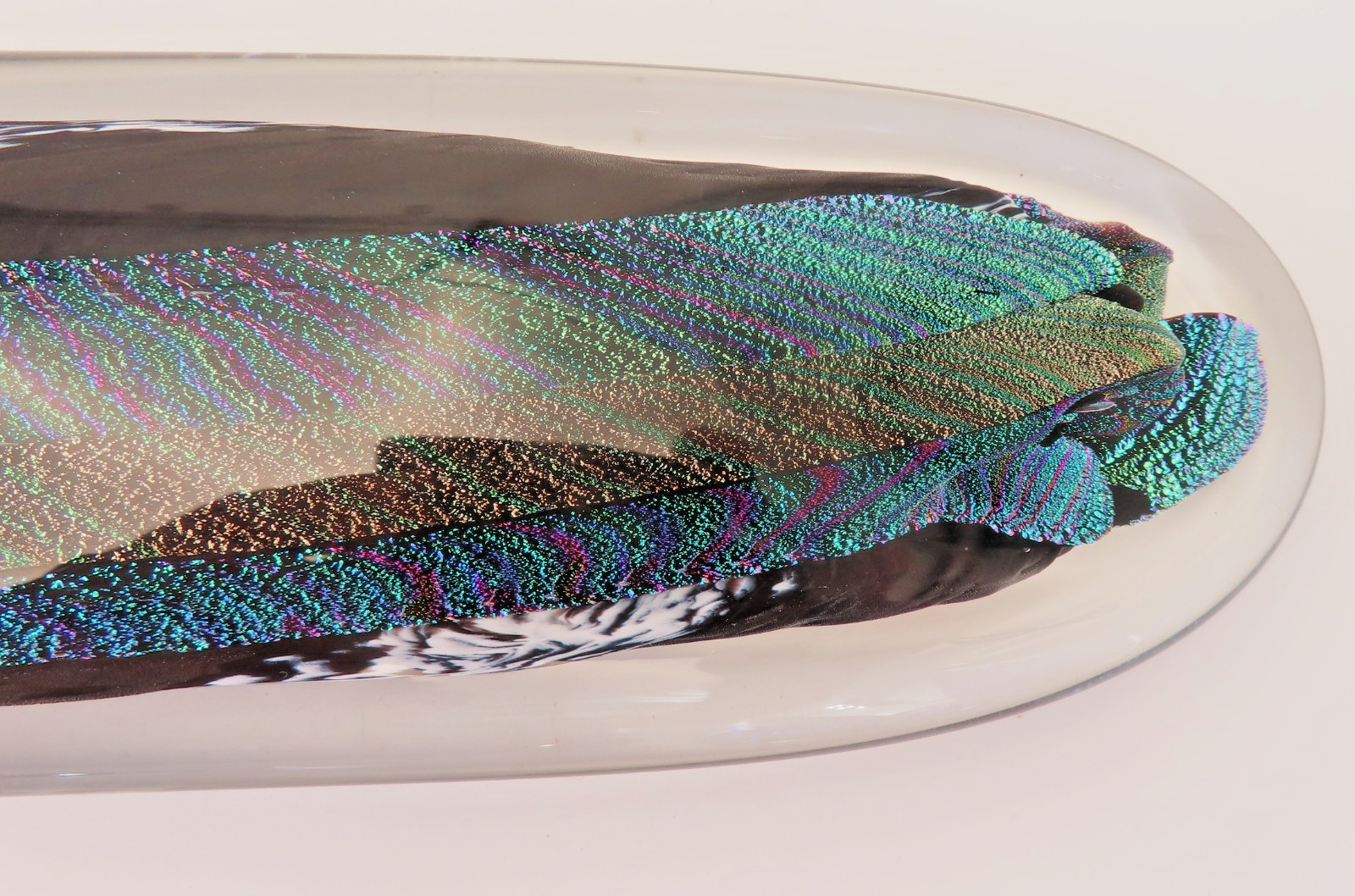 Scott Hartley Art Glass Sculpture Dichroic Peacock Feather Artist Signed 14.5″H