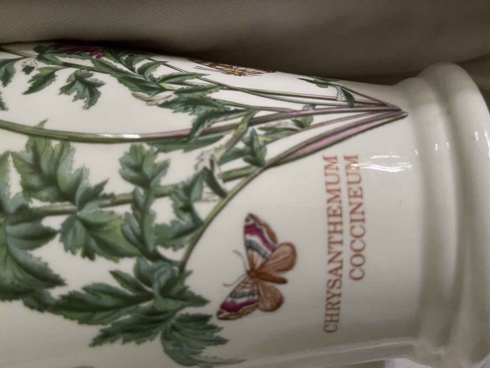 Older Portmeirion Botanic Garden Vase Chrysanthemum Canton 8” England