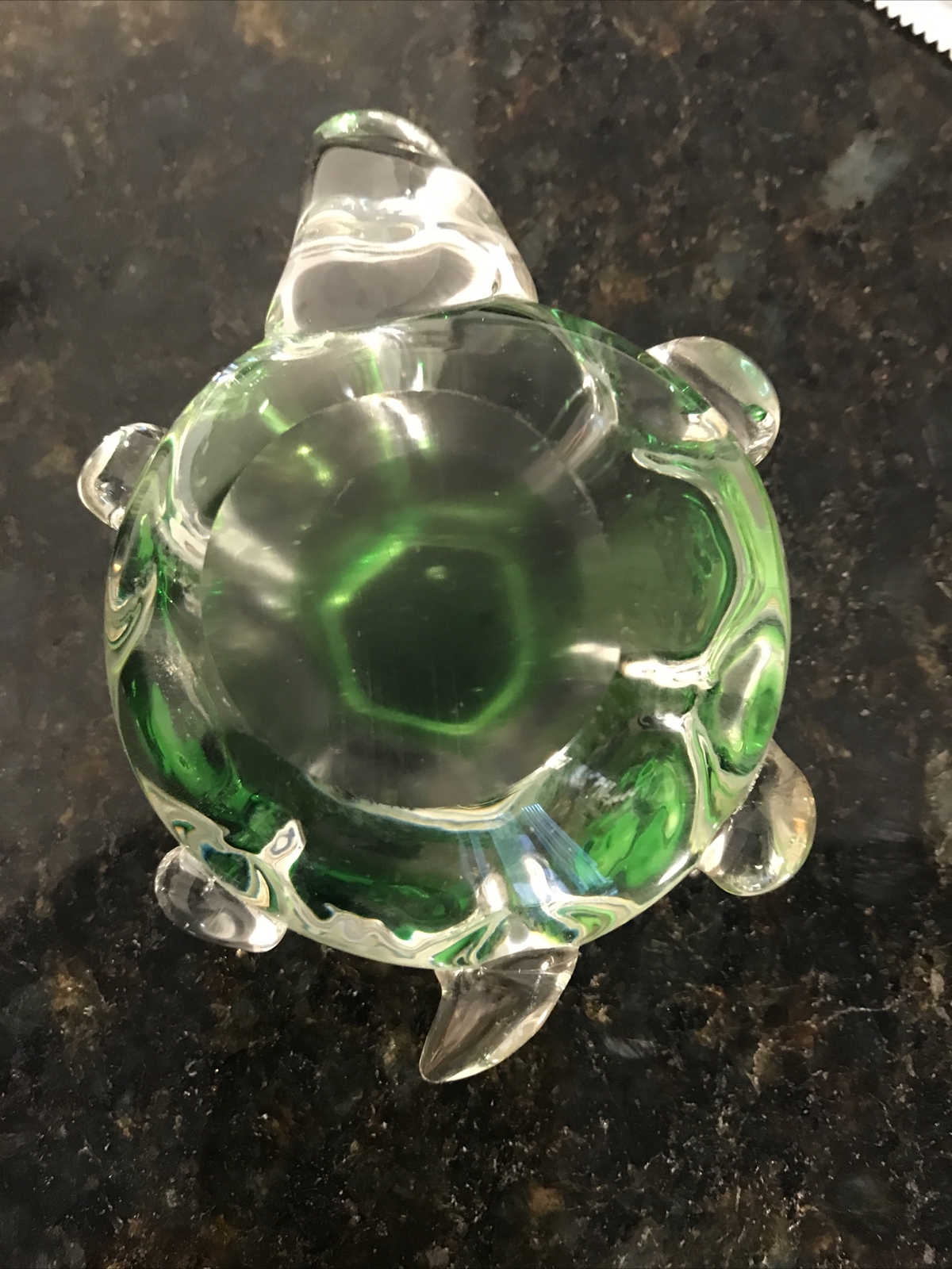 Glass Sea Turtle Paper Weight 5”Inches long 3 1/2” Wide Clear & green Body Good