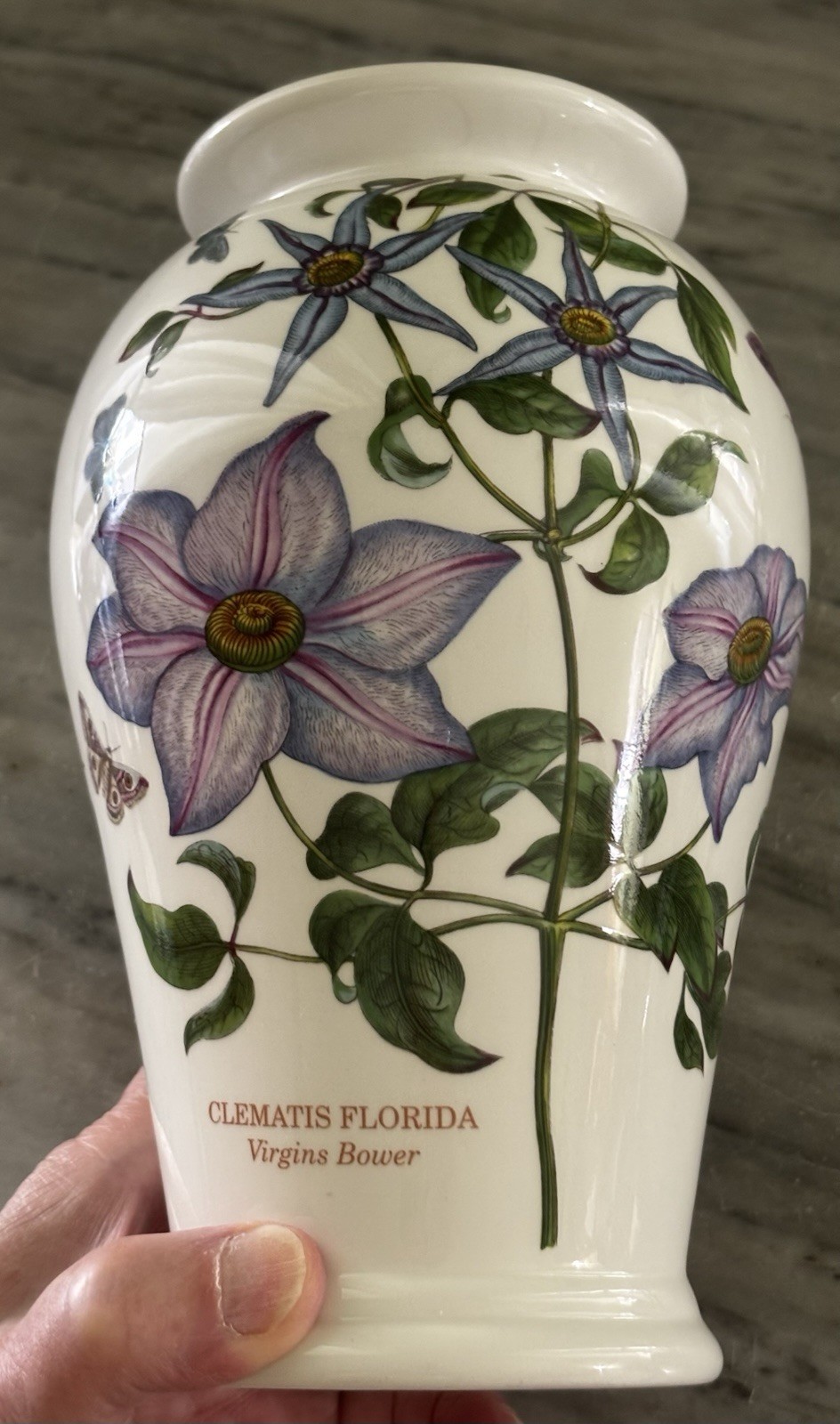 Portmeirion Botanic Garden 8 3/8″ Clematis Florida Flower Vase