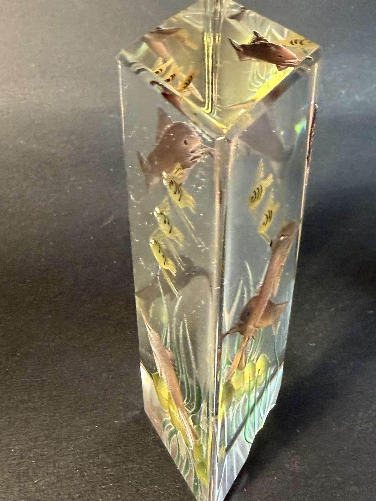 2 Carved Lucite Aquarium Sea Horse Fish Reef 4” Paperweights