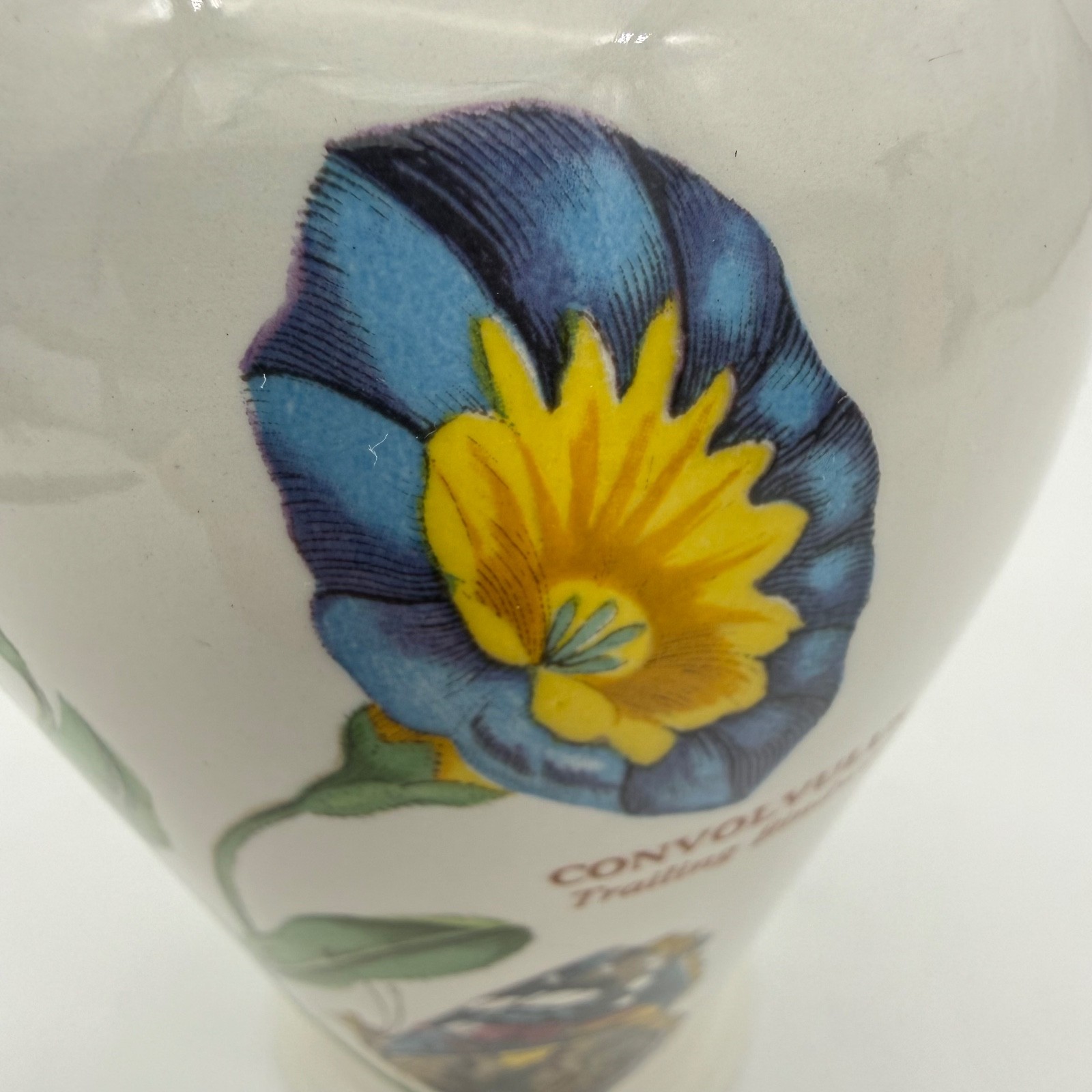 Portmeirion Botanic Garden Vase Convolvulus Trailing Bindweed 5.25″ VTG England