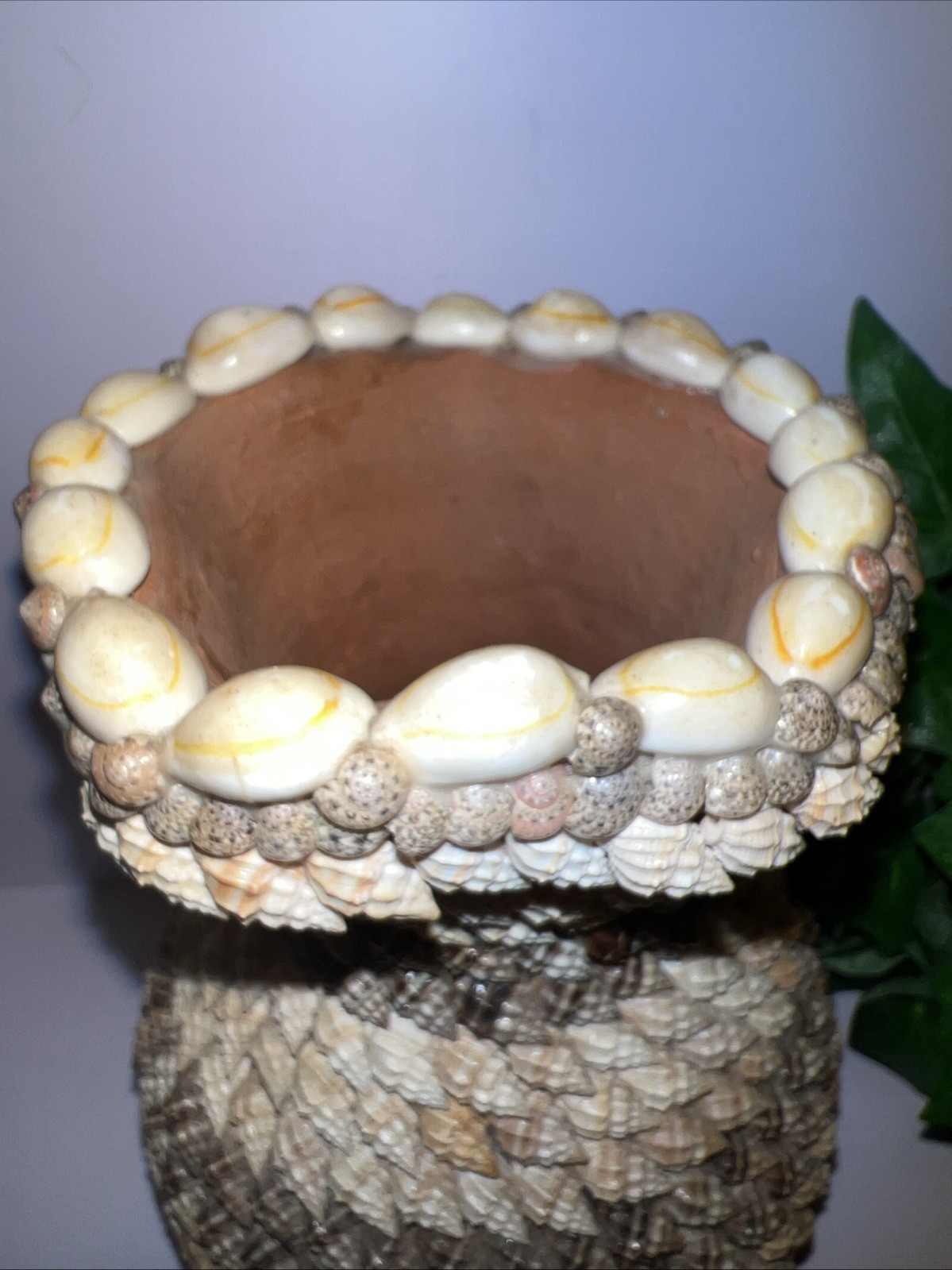 Vintage.Terra Cotta Seashell Bud Vase Handmade 6 1/2 Inches Tall 6 1/2 “ wide