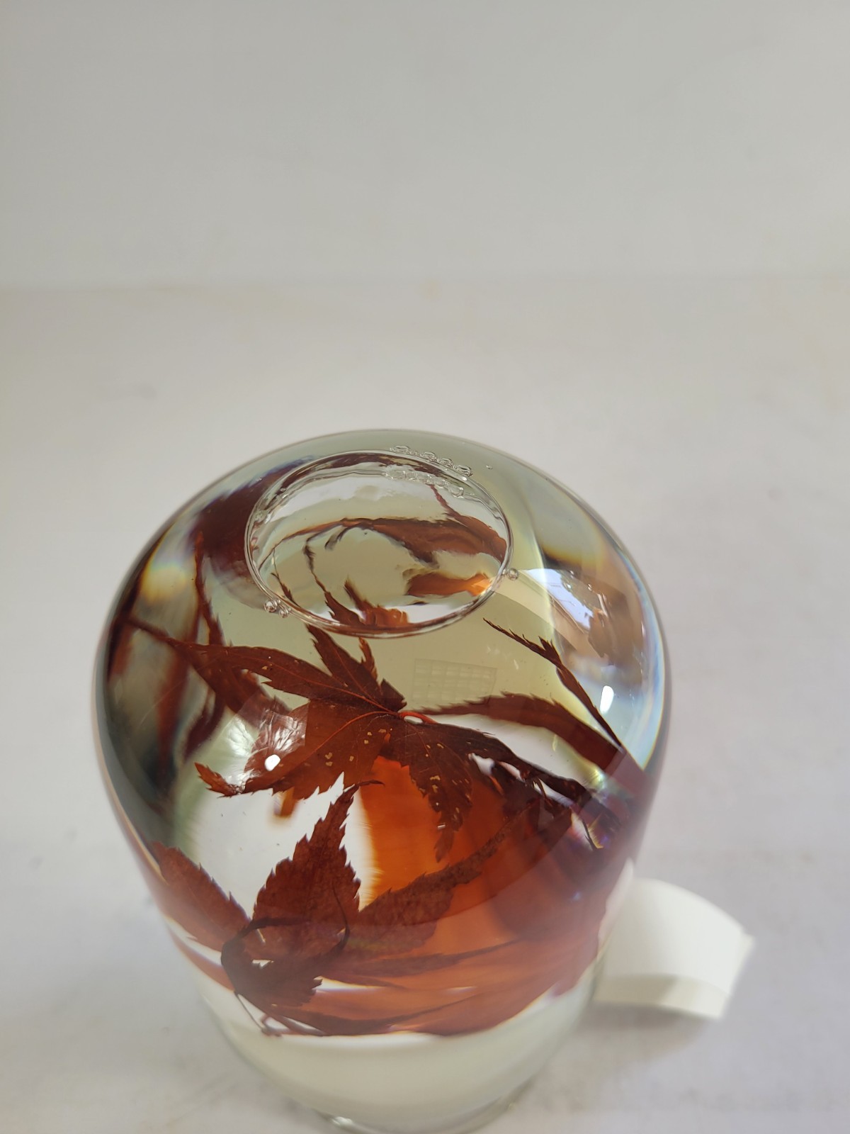 Style Jieum Pieces of Time Preserved Maple Leaf Glass Dome Paperweight